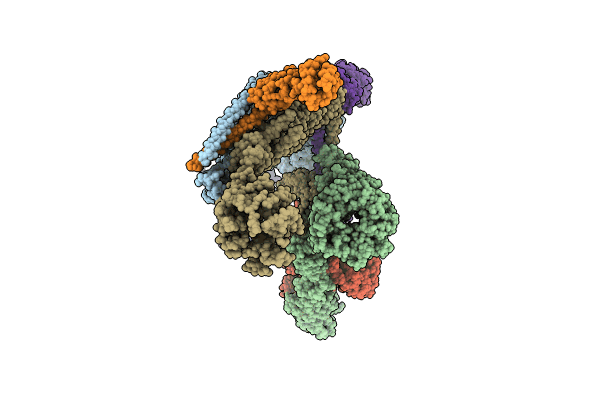 8QX8 image