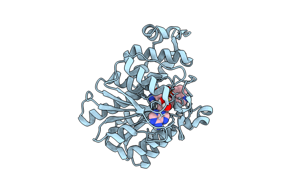 8QXQ image