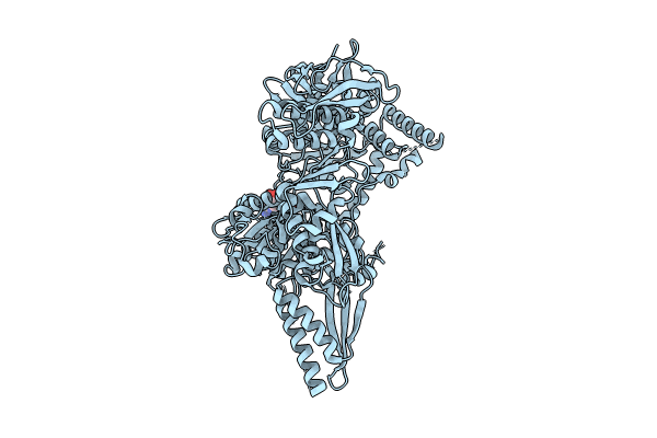 8QYC image