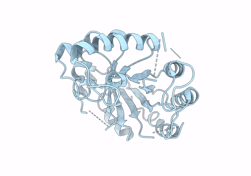 8QZK image