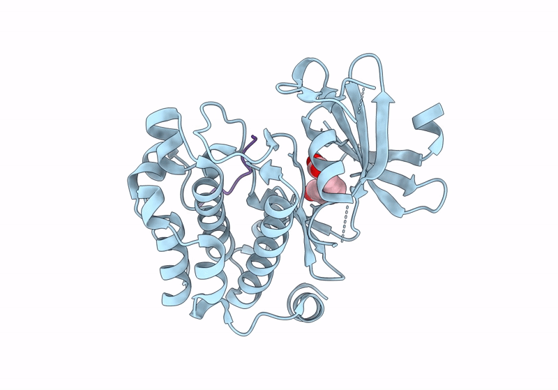 8R10 image