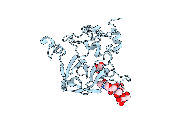 8R15 image