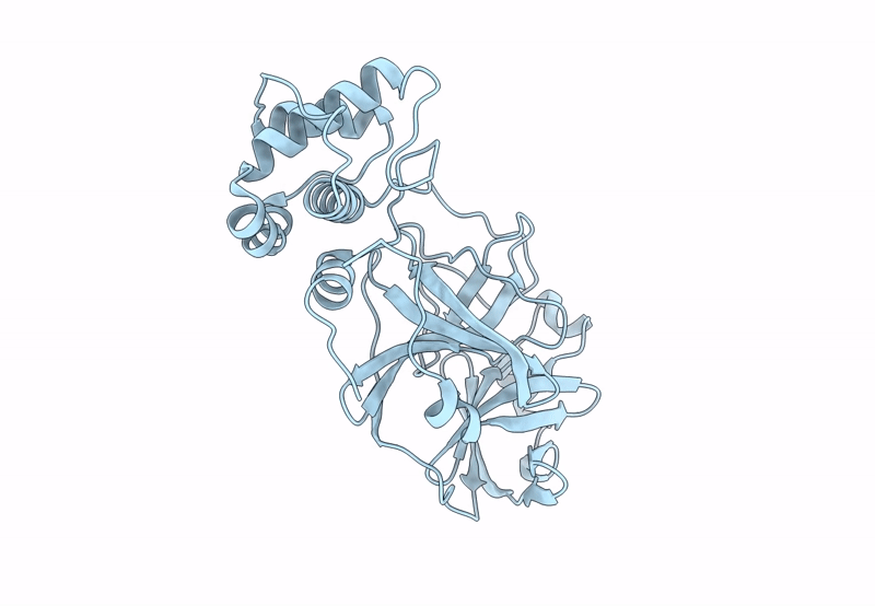 8R19 image