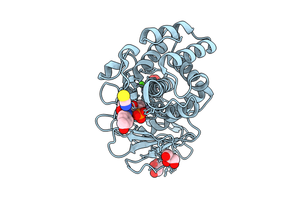 8R1B image