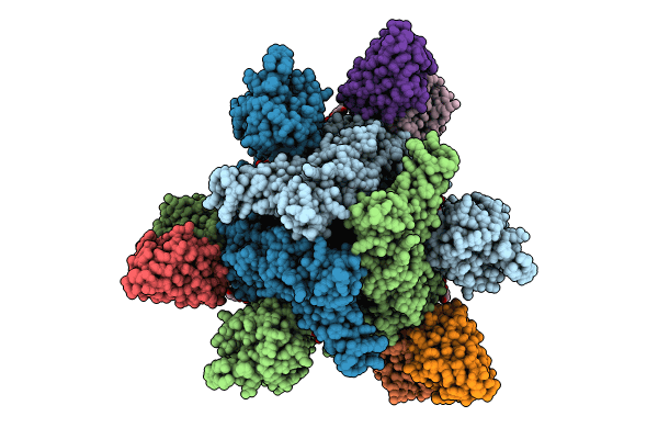 8R1C image