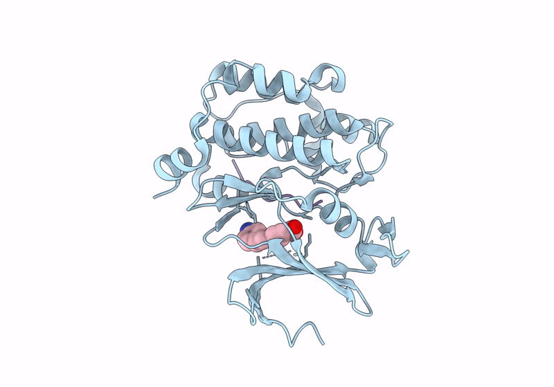8R1P image