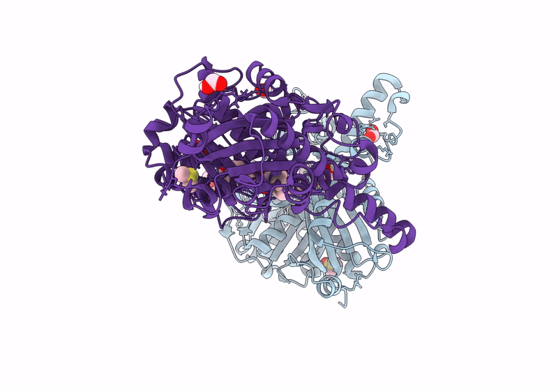 8R1V image