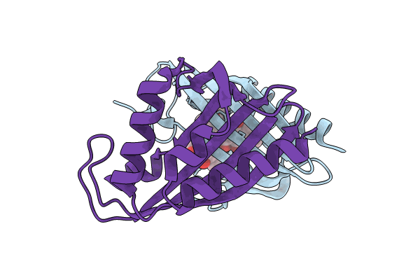 8R2B image