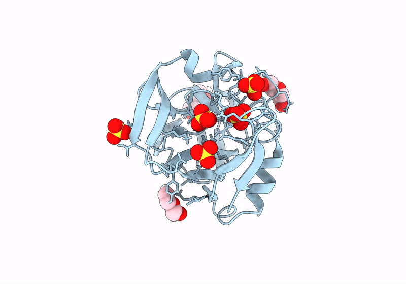 8R2C image