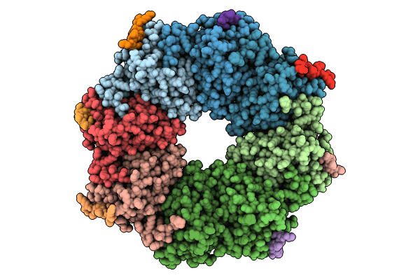 8R2G image