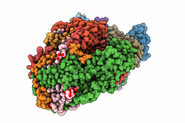 8R2I image