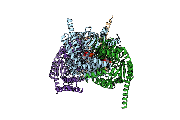 8R2P image