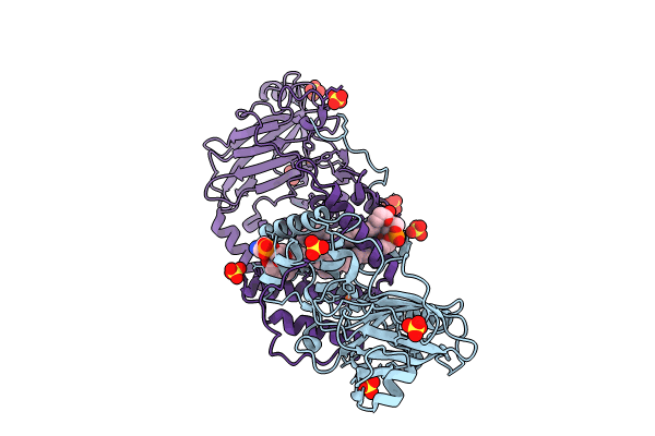 8R2V image