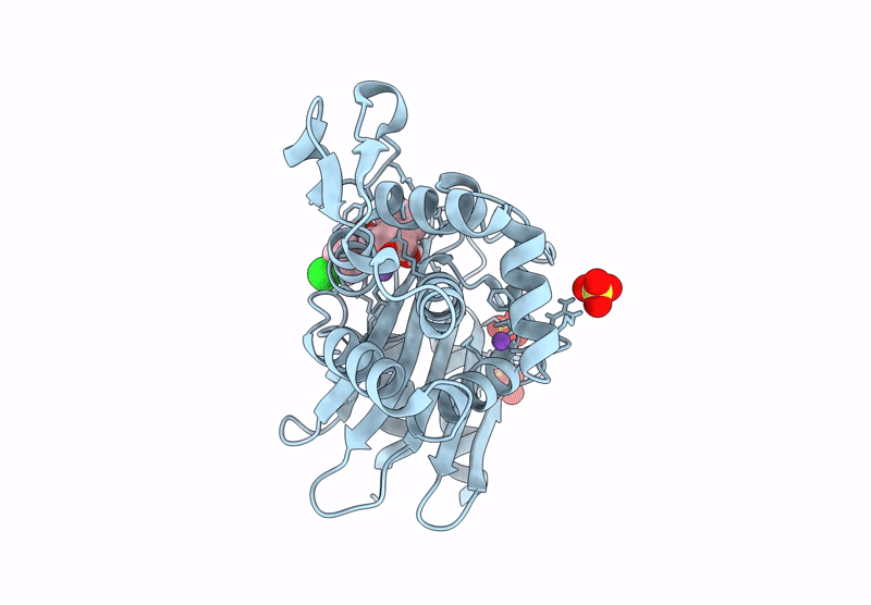 8R31 image