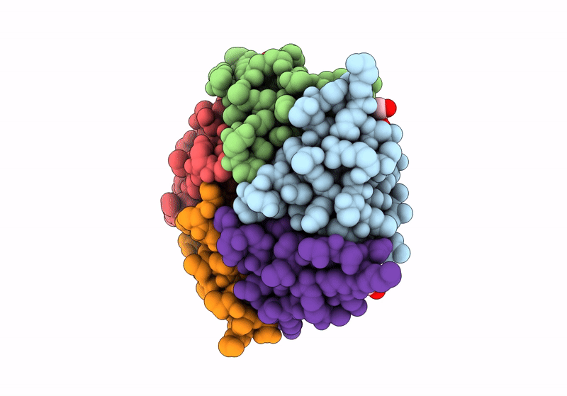 8R3B image