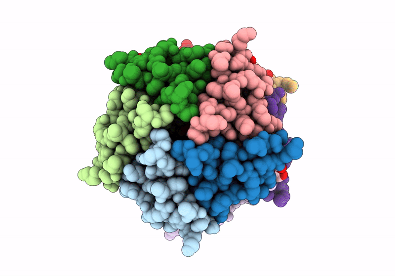 8R3C image