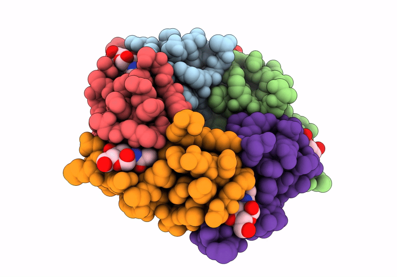 8R3D image
