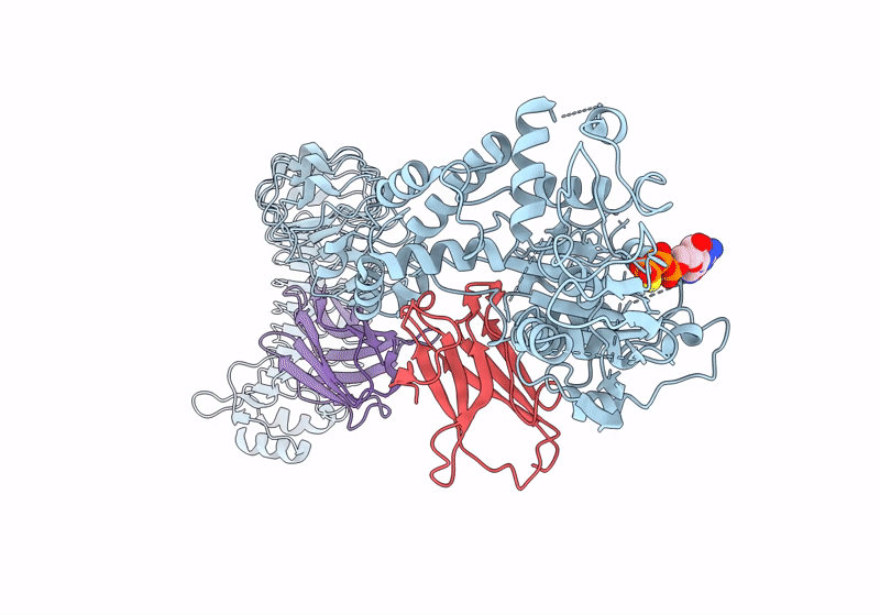 8R4B image