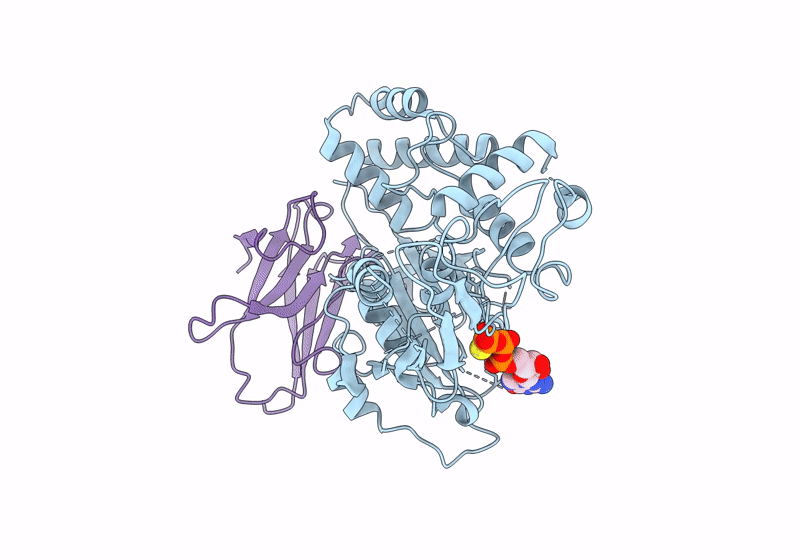 8R4D image