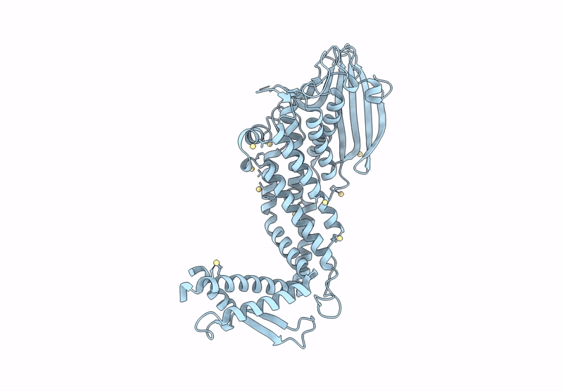 8R4P image