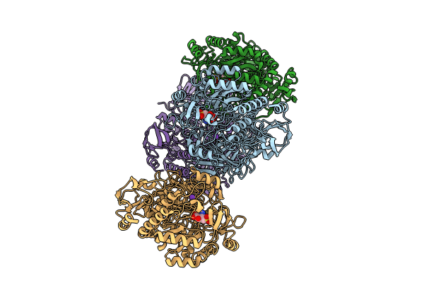 8R56 image