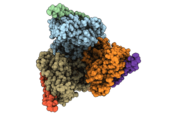 8R5I image