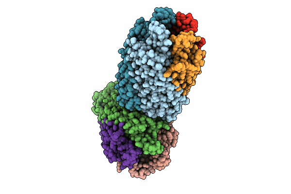 8R5S image
