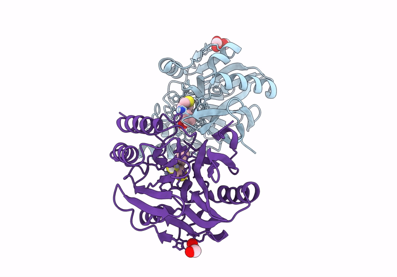 8R5U image