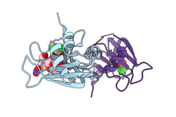 8R5V image