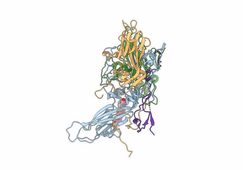 8R5X image
