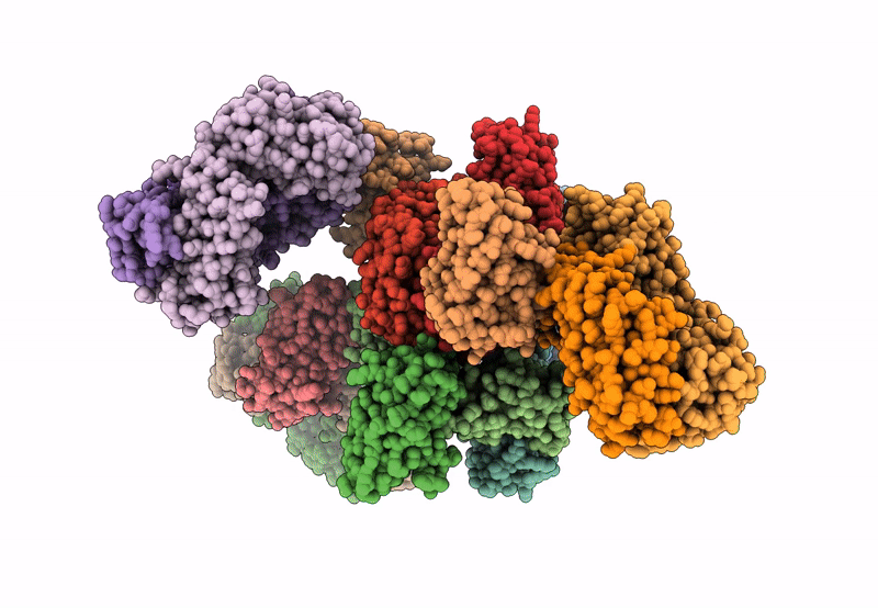 8R61 image