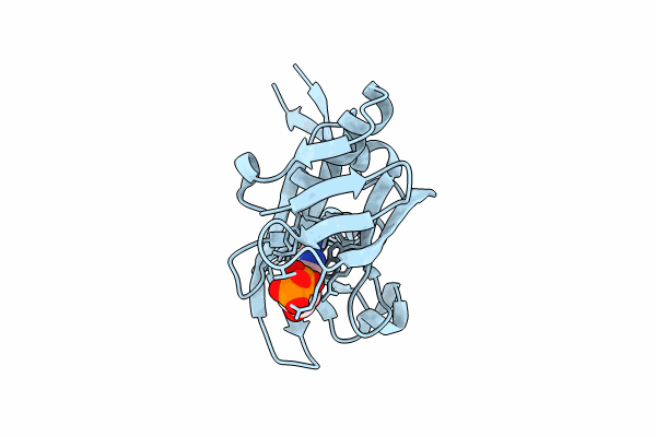 8R6B image