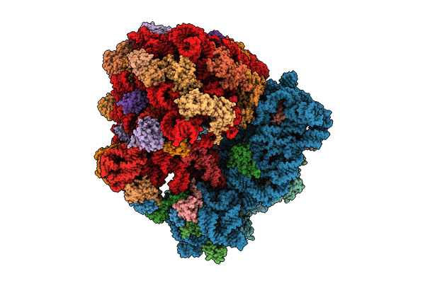 8R6C image