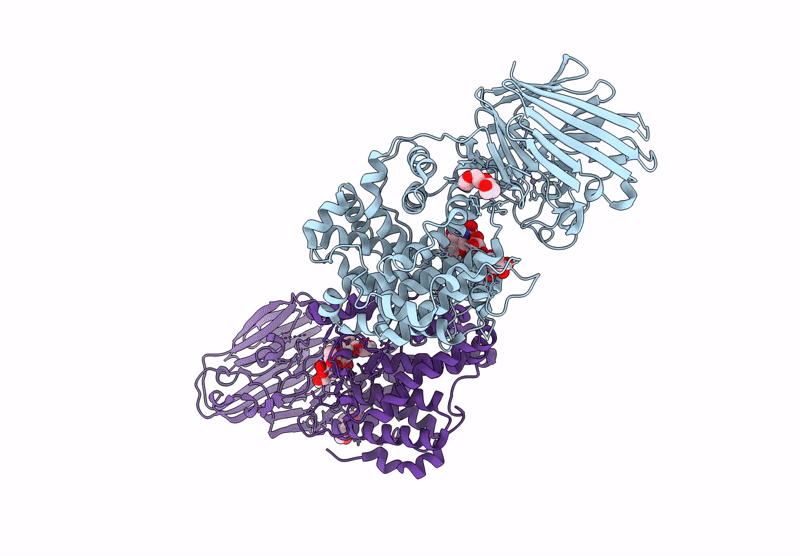 8R71 image