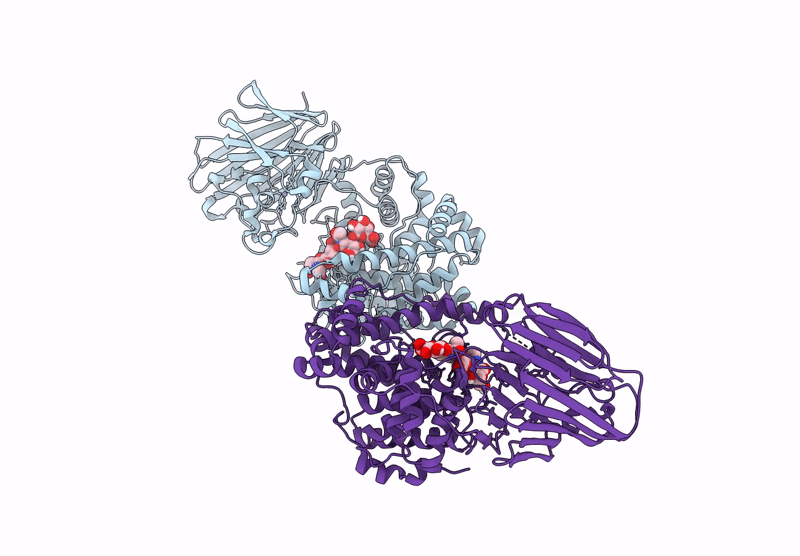 8R72 image