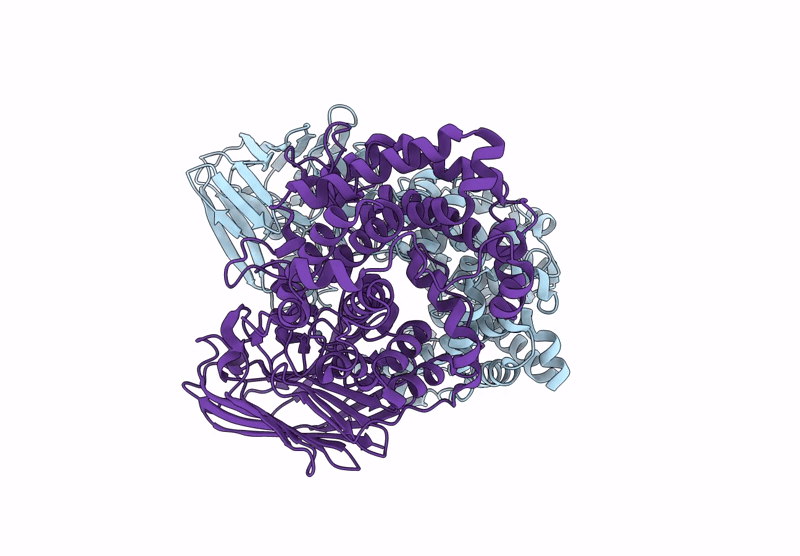 8R75 image