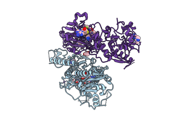 8R7B image