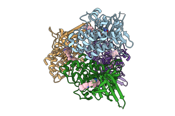 8R7G image
