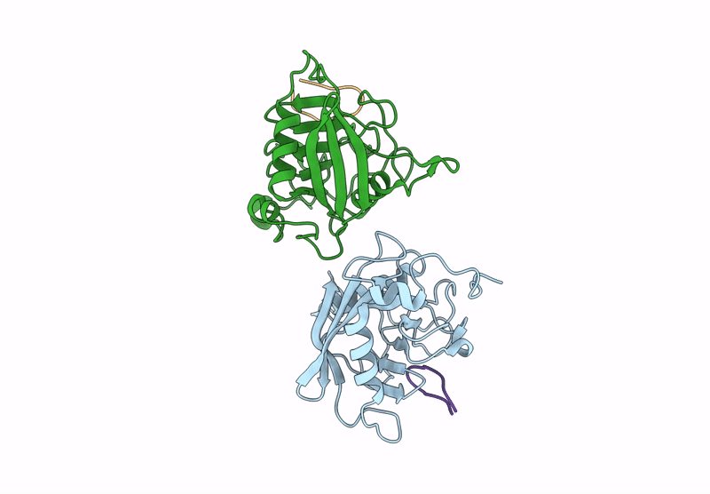 8R7S image