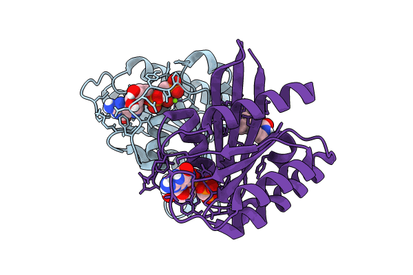 8R7X image