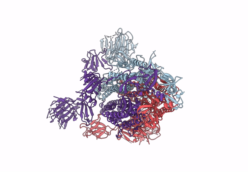 8R87 image