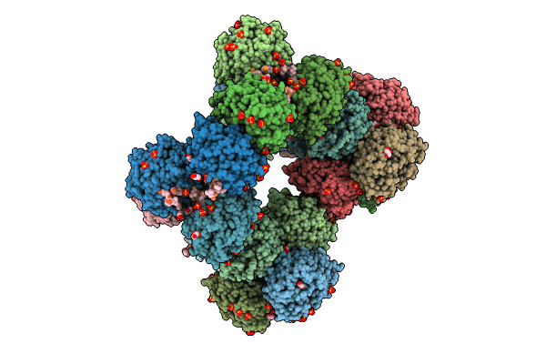 8R8B image