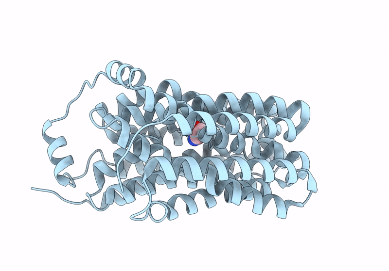 8R8T image