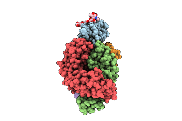 8R9Z image
