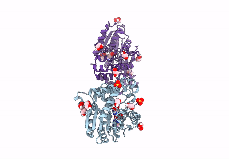 8RBD image