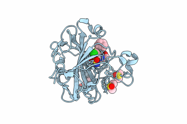 8RBP image