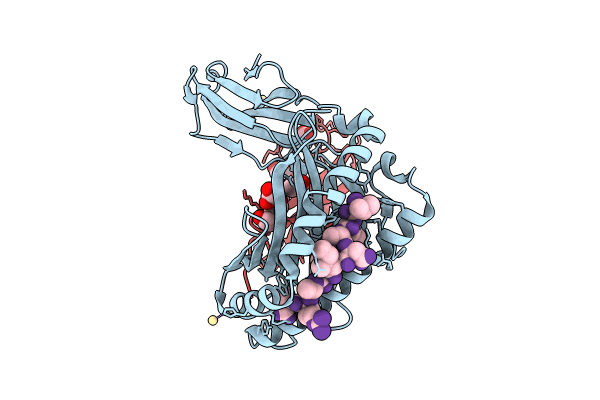 8RBV image