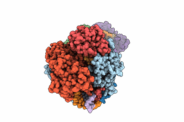 8RC2 image