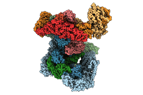 8RC4 image