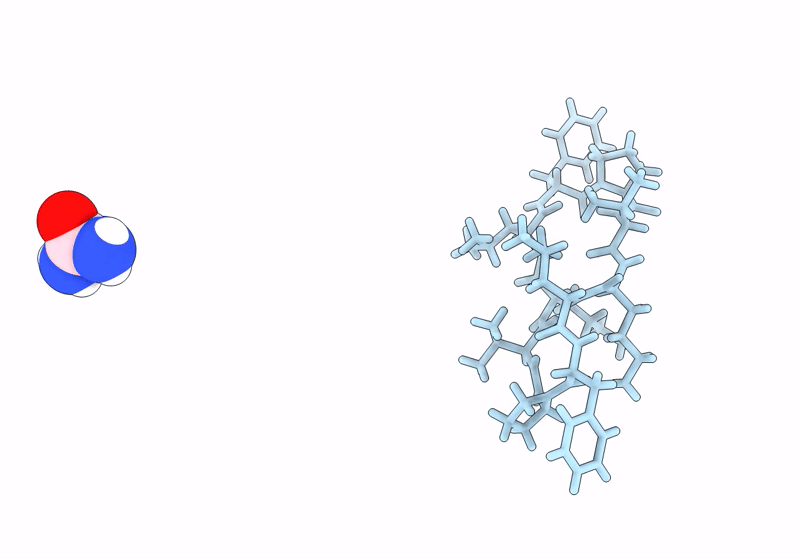 8RC7 image